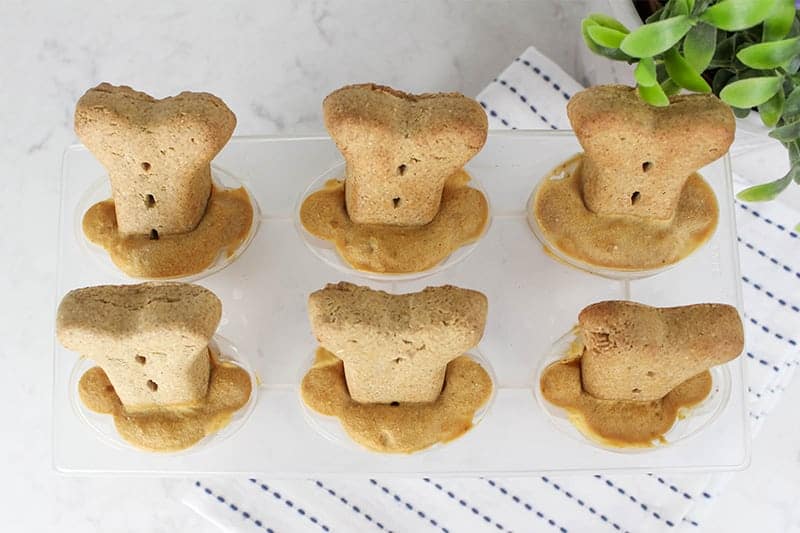 Peanut Butter & Strawberry Dog Popsicles