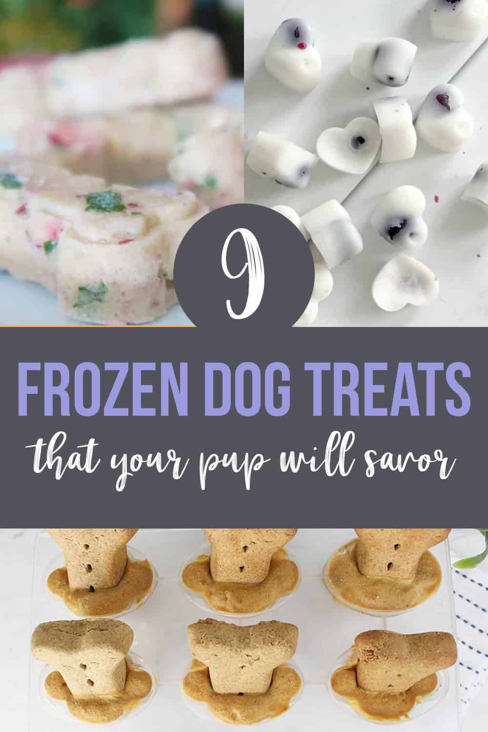 9 Easy Homemade Frozen Dog Treat Recipes That Are Great for Summer