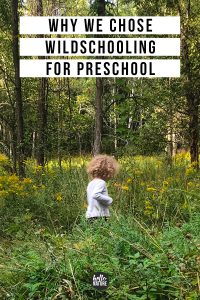 wildschooling for preschool