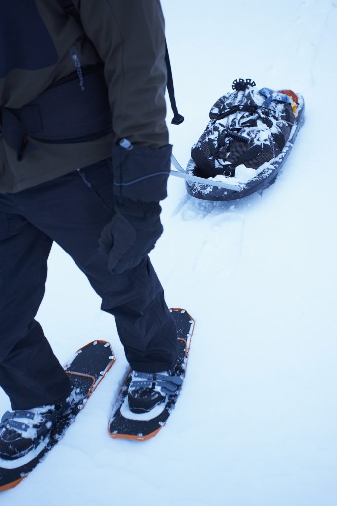 Sled and snowshoes