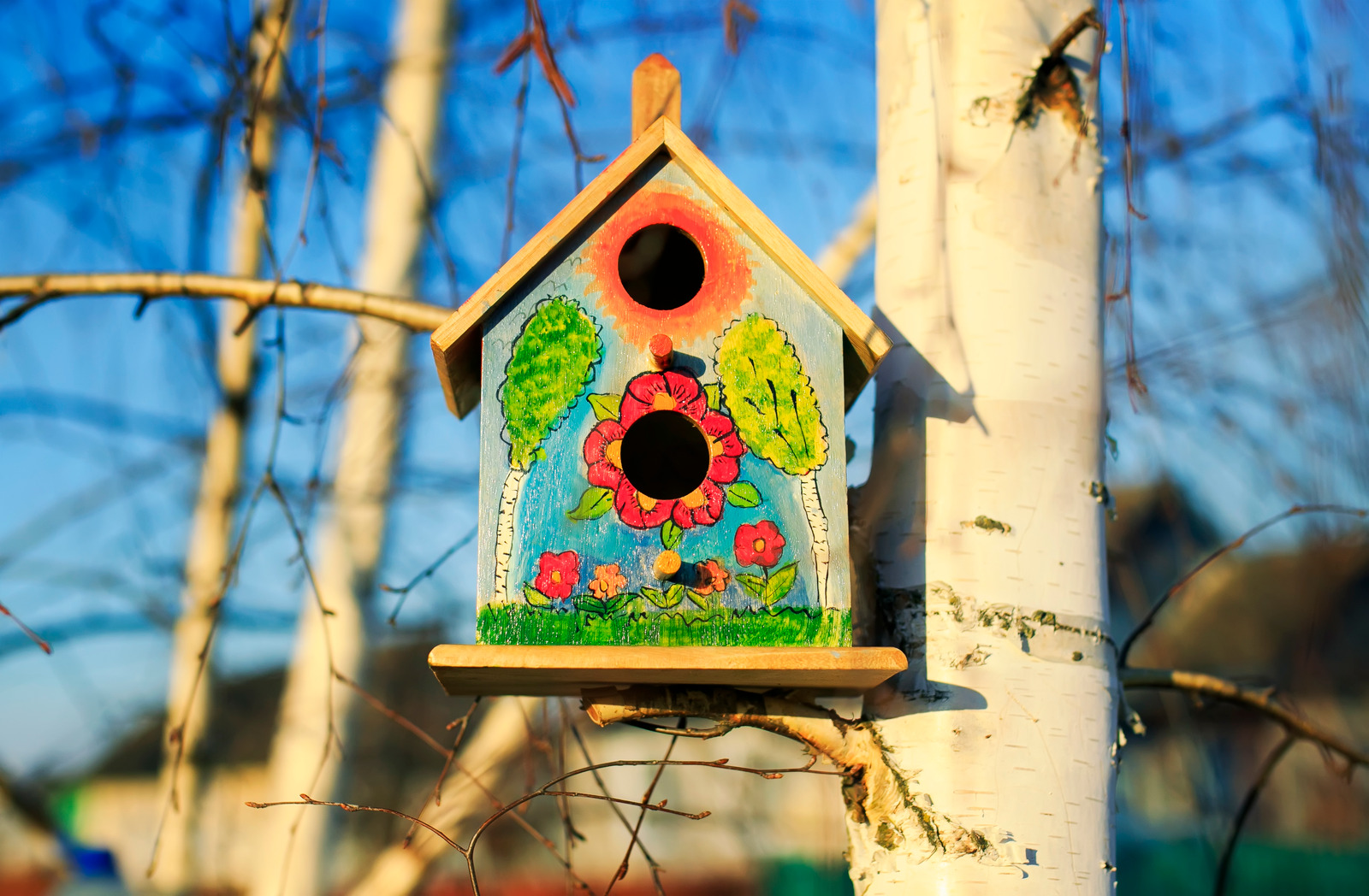 Painted bird house