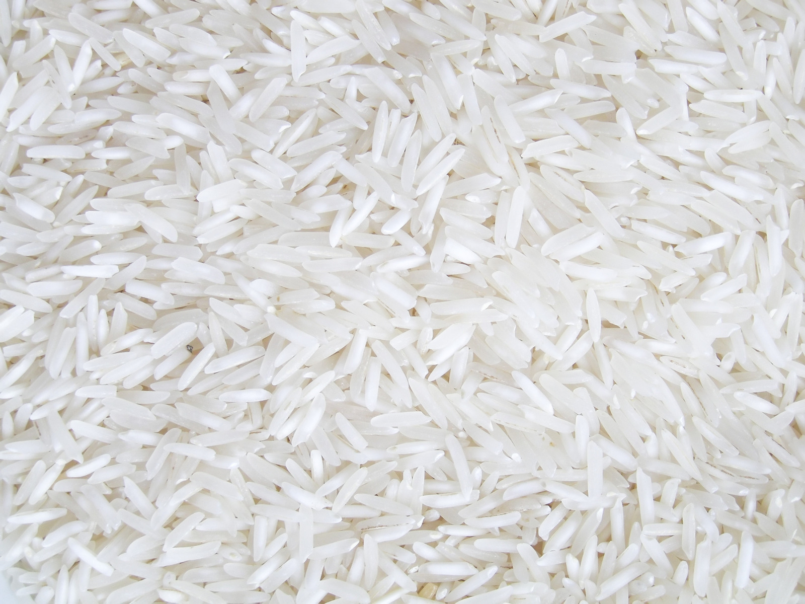 How to Store Rice for Long Term Food Storage  Learn About Storing & Shelf  Life of Riced - Valley Food Storage