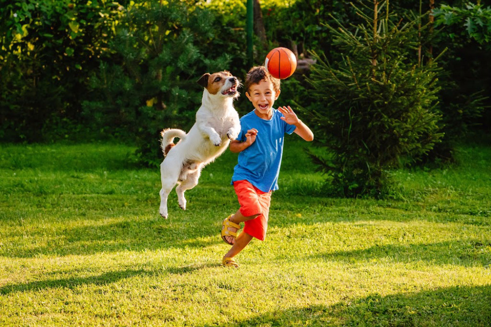 kid and dog playing catch in backyard